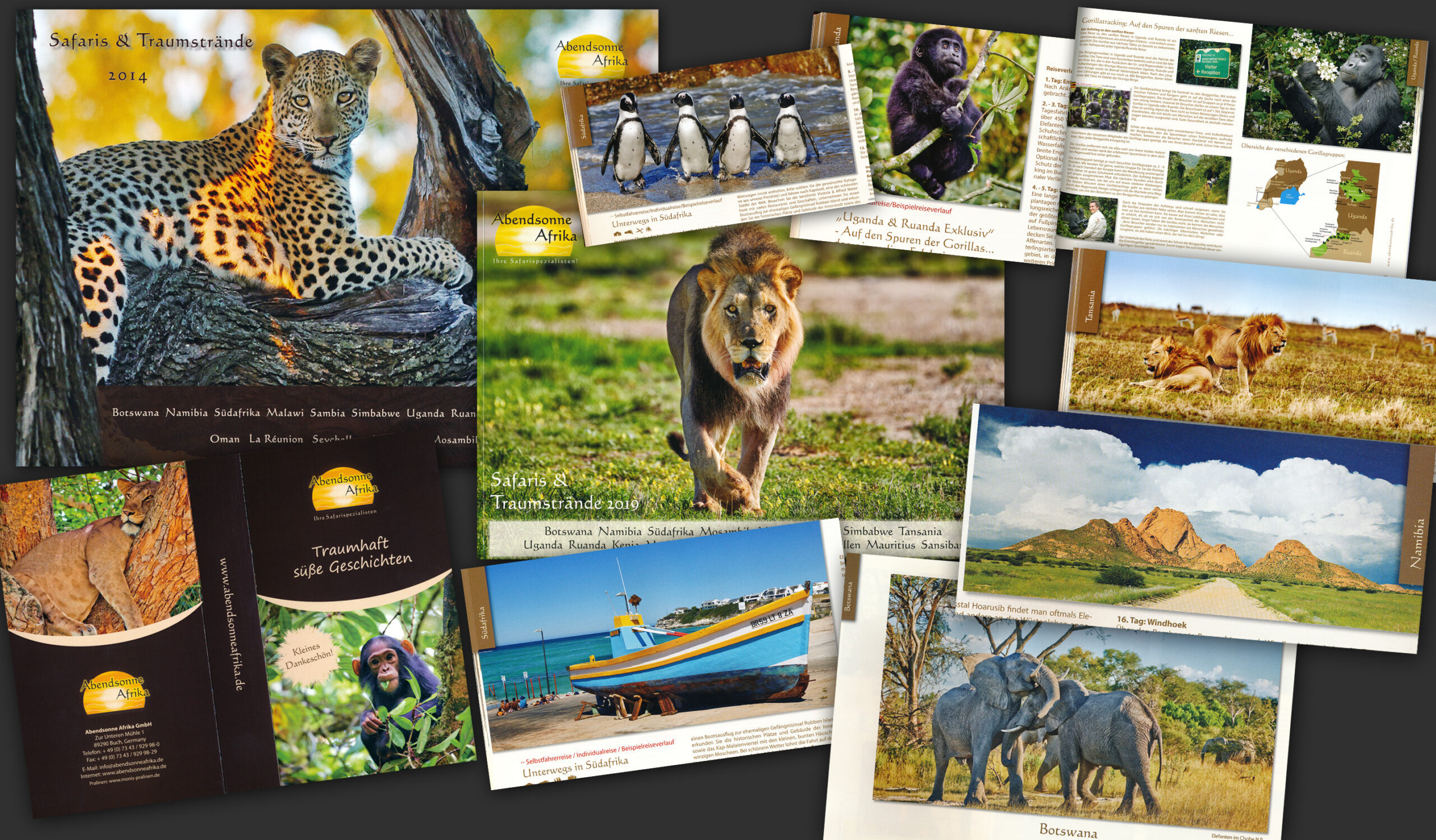 Katalog, Web etc. | Reiseveranstalter Abendsonne Afrika
